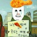 무지개맥주충북대 | [🇦🇺DAY 7] 교환학생 준비 각.