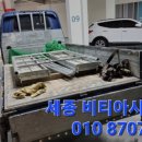 세종비티 이미지