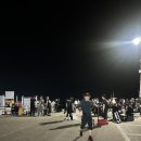 (주)에디넷 | 보령 오천항 쭈꾸미 갑오징어 배낚시🎣 9월 성수기 리얼 후기｜조황, 준비물