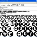 트루타 이미지