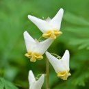 반포삼정공인중개사사무소 이미지