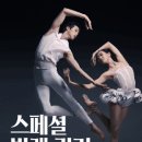 [대한민국발레축제] 스페셜 발레 갈라 in 화성 이미지