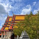 메리츠화재 | 메리츠화재 여행자보험 청구 후기 및 방법