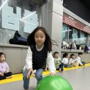 용인대 지노태권도 이미지