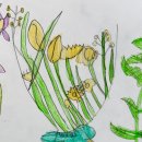 세밀색연필화 이미지