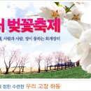 벚꽃길 이미지