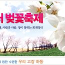 화개장터 벚꽃축제.-십리벚꽃길 2009. 여행~~~ 이미지