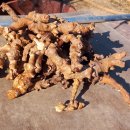 기봉이 농장 이미지