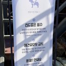 지니하우스09 | 횡성 가볼만한곳 대형카페 산일리오 폭포뷰 애견동반 베이커리카페