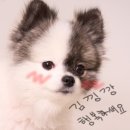 깅지니스튜디오 이미지