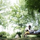 정현지 카카오 검색결과