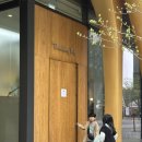 일산 강아지옷 편집샵 <b>말론</b><b>샵</b> & 애견동반브런치 띵킹독