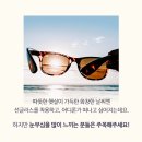 다비치안경대전역점 이미지