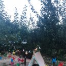 멍사무소 이미지