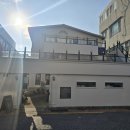 대패꽃 피는날 | 수영빵집 꽃피는4월밀익는5월 비건빵 추천