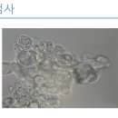 해동물병원 네이버블로그