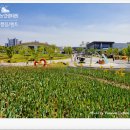 나비텃밭농원 | 평택 농업생태원 당일 무료 캠핑 텐트칠 수 있는 곳