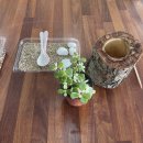 별빛농원 이미지