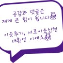 수꿀벌닭강정
