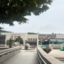 도로명미부여지(B) | (충남 공주, 부여) 1박2일 여행 코스 가볼만한 곳; 유가네해물 칼국수, 곡물집, 공주산성시장, 부자떡집...