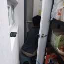남양주코끼리