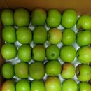 꼬마꼬꼬 이미지