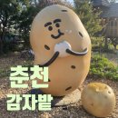 소양강물류마트 | 춘천 감자밭 후기 감자빵 맛집으로 유명한 춘천 카페 추천