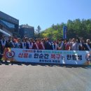 대강면사무소 이미지