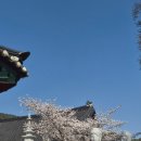 교육상사