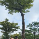 상록구청 상록구시민홀 이미지