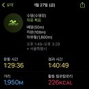 아레나 수영장 이미지