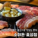 효성동 623-36 | 인천 로컬맛집 계양구 소야돈 효성점 내돈내산 가족모임 후기