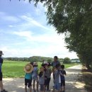 개화초등학교 이미지