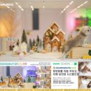 안동고양이분양 귀염둥이 냥이 첫만남