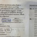 Proteus vulgaris 생화학적 성상 관련 질문입니다. 이미지