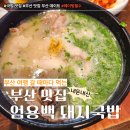 부광식당 | [부산 여행 맛집 정리 2탄] 엄용백 돼지국밥 해운대, 나사리 식당