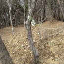 용강4리 이미지