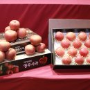 영주네 경북매일