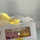 너만멍냥 이미지