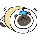 멍실장 이미지