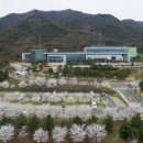 대구미술관 네이버블로그