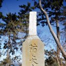 로또문어숙회 이미지