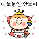 아기보따리