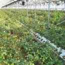 예송 농장 이미지