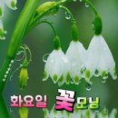 센텀고운선형한의원 이미지