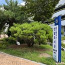 건강식당 | 대전 동네여행, 한밭도서관 식당, 건강카페 이용후기
