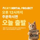 디피케어 | 캣디피 고양이치약 CATDP 원미닛치약 90g 입냄새 치석...제거제 치은염 구내염 집에서 케어 효과 분석 후기