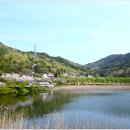 고성지 이미지