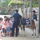 부흥초교 이미지