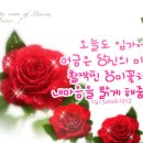 [데스크의 창] 열 손가락 깨물어 안 아픈 손가락 없다 By 하은선/ 미주 한국일보 부국장 이미지